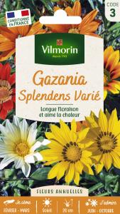 Gazania Splendens Varié